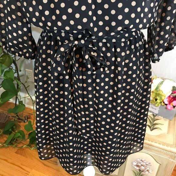 Enfocus Petite Polka Dot Sheer Sleeve Lined Dress Black Sz 8P - Picture 6 of 10